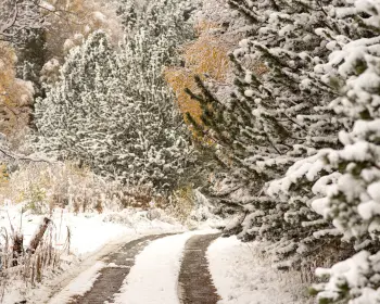 Paisaje nevado